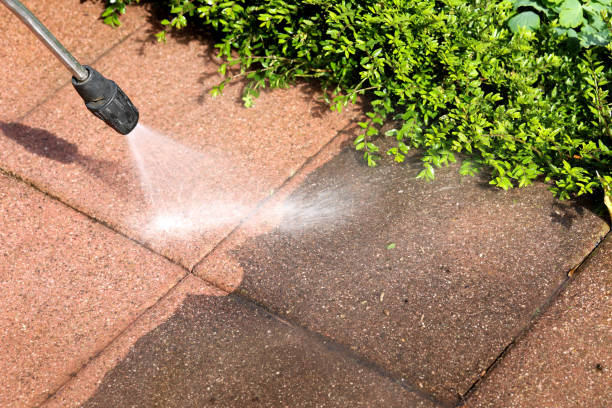 Professional Pressure Washing in Blawnox, PA